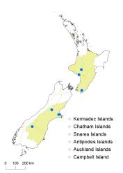 Cotoneaster ×watereri distribution map based on databased records at CHR. 
 Image: K. Boardman © Landcare Research 2017 CC BY 3.0 NZ